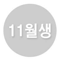 11���� ������� ����